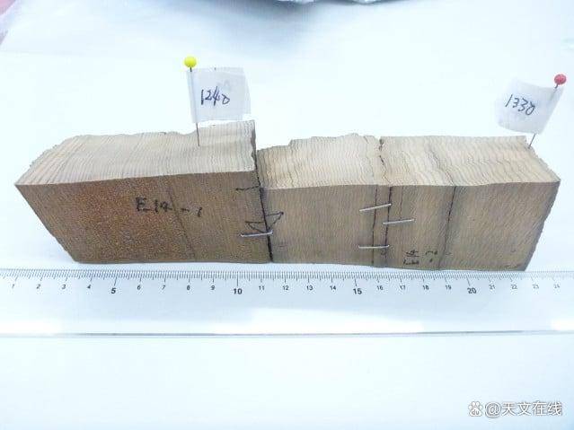 科學家借詩歌關聯亞極端太陽爆發與樹輪