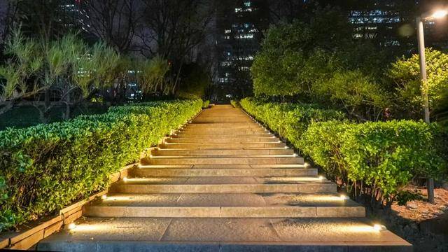 CBD創新力量｜北京CBD：從“水泥森林”到“花園客廳”