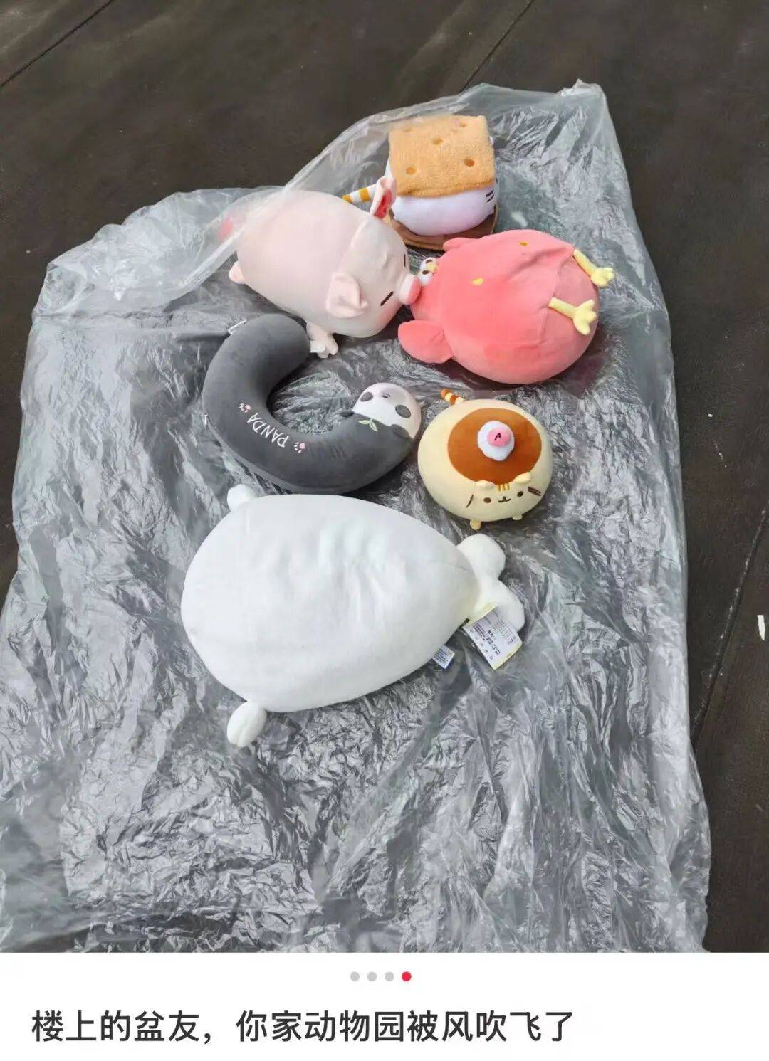 “裝修讓父母參與的下場竟然是…？”哈哈哈大眾點評上怎麼沒看到你家！