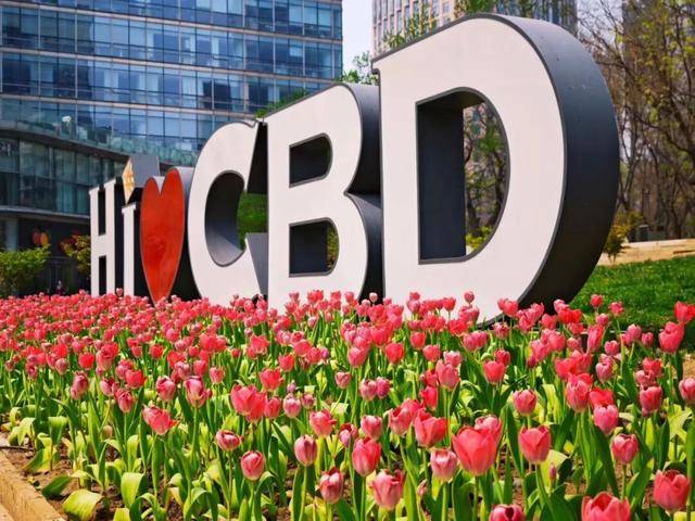 CBD創新力量｜北京CBD：從“水泥森林”到“花園客廳”