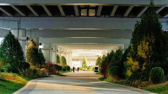 CBD創新力量｜北京CBD：從“水泥森林”到“花園客廳”