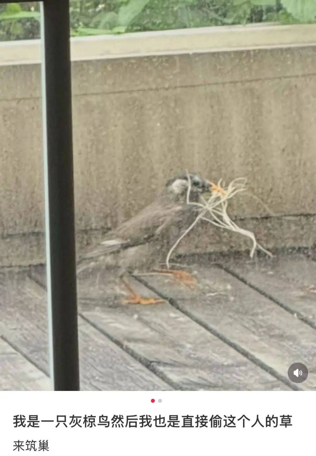 “裝修讓父母參與的下場竟然是…？”哈哈哈大眾點評上怎麼沒看到你家！