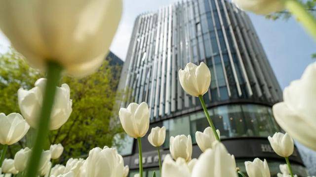 CBD創新力量｜北京CBD：從“水泥森林”到“花園客廳”