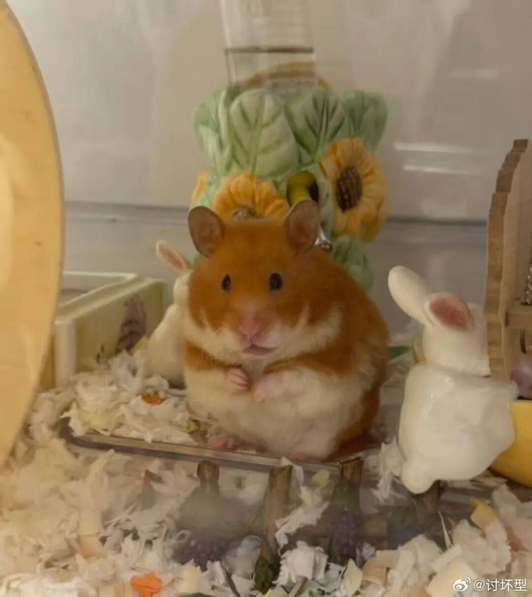 “裝修讓父母參與的下場竟然是…？”哈哈哈大眾點評上怎麼沒看到你家！