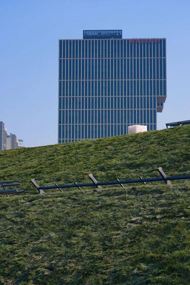 CBD創新力量｜北京CBD：從“水泥森林”到“花園客廳”