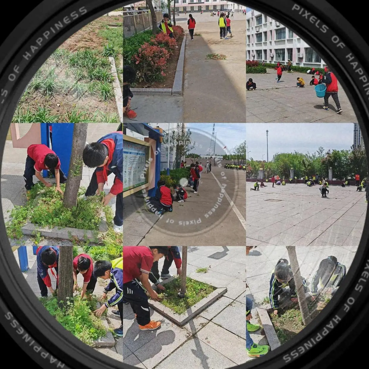 原創莒南縣繡針河小學開展校園除草勞動實踐活動