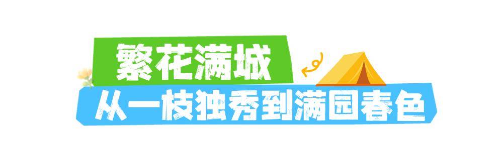 CBD創新力量｜北京CBD：從“水泥森林”到“花園客廳”