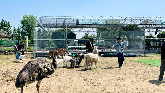 原創廢棄礦坑蝶變網紅景區 臥虎山田園旅遊區近郊微度假點燃假日經濟