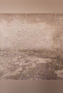 緊急提醒：關好門窗！陝西釋出災害性天氣預報！小雨、陣雨、局地中到大雨明天到 →