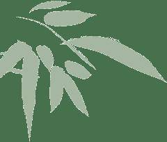 喜報丨《流風迴雪》獲“伯鴻書香獎·原創圖書獎”提名獎