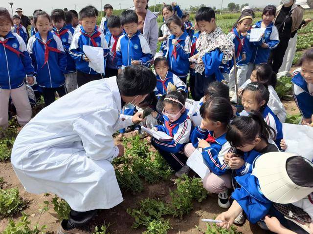 濟源：東軹城小學開展穀雨農耕實踐研學活動