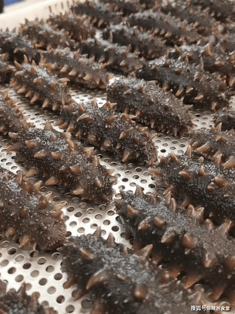 五一青島旅遊必看！值得帶回家的美食伴手禮清單，總有你喜歡的！