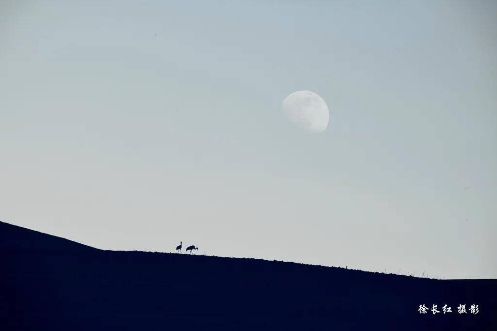 國際旅遊攝影網·52旅遊攝影——專注攝影旅行十五年