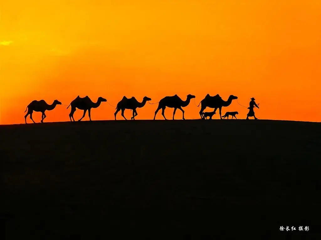 國際旅遊攝影網·52旅遊攝影——專注攝影旅行十五年