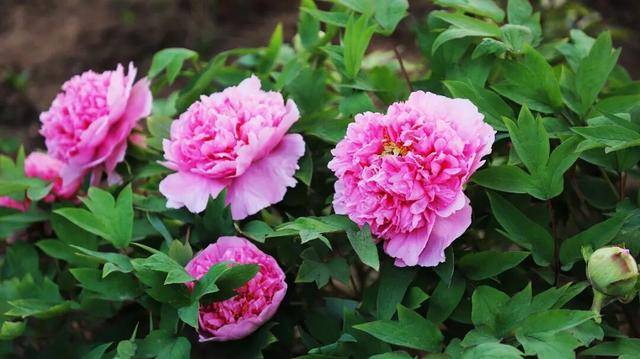 踏青·文化·夜遊·親子·美食丨濟寧五一寶藏玩法+優惠全放送