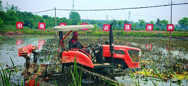 江南田間“黑科技”