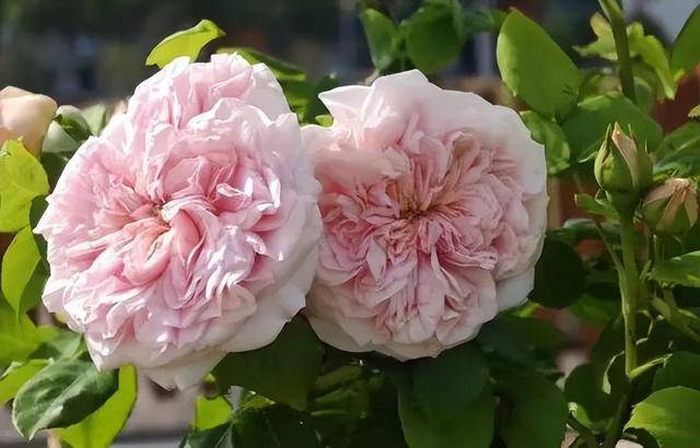 踏青·文化·夜遊·親子·美食丨濟寧五一寶藏玩法+優惠全放送