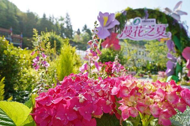 五一暢遊雞冠洞：自然奇觀邂逅花海狂歡，演藝美食免單暢享！