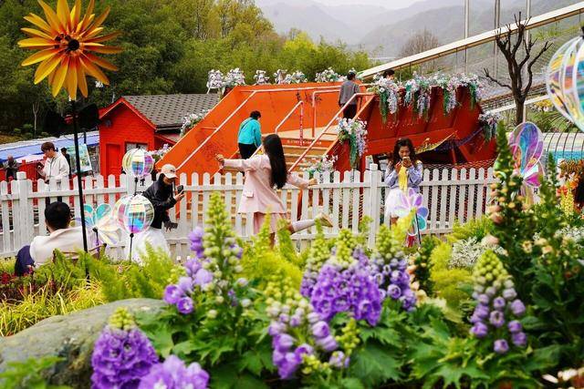 五一暢遊雞冠洞：自然奇觀邂逅花海狂歡，演藝美食免單暢享！