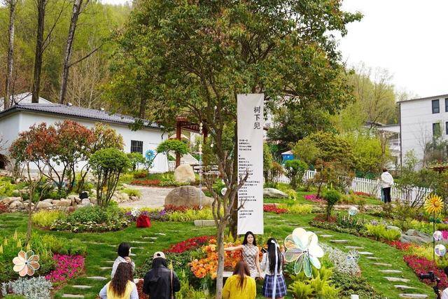 五一暢遊雞冠洞：自然奇觀邂逅花海狂歡，演藝美食免單暢享！