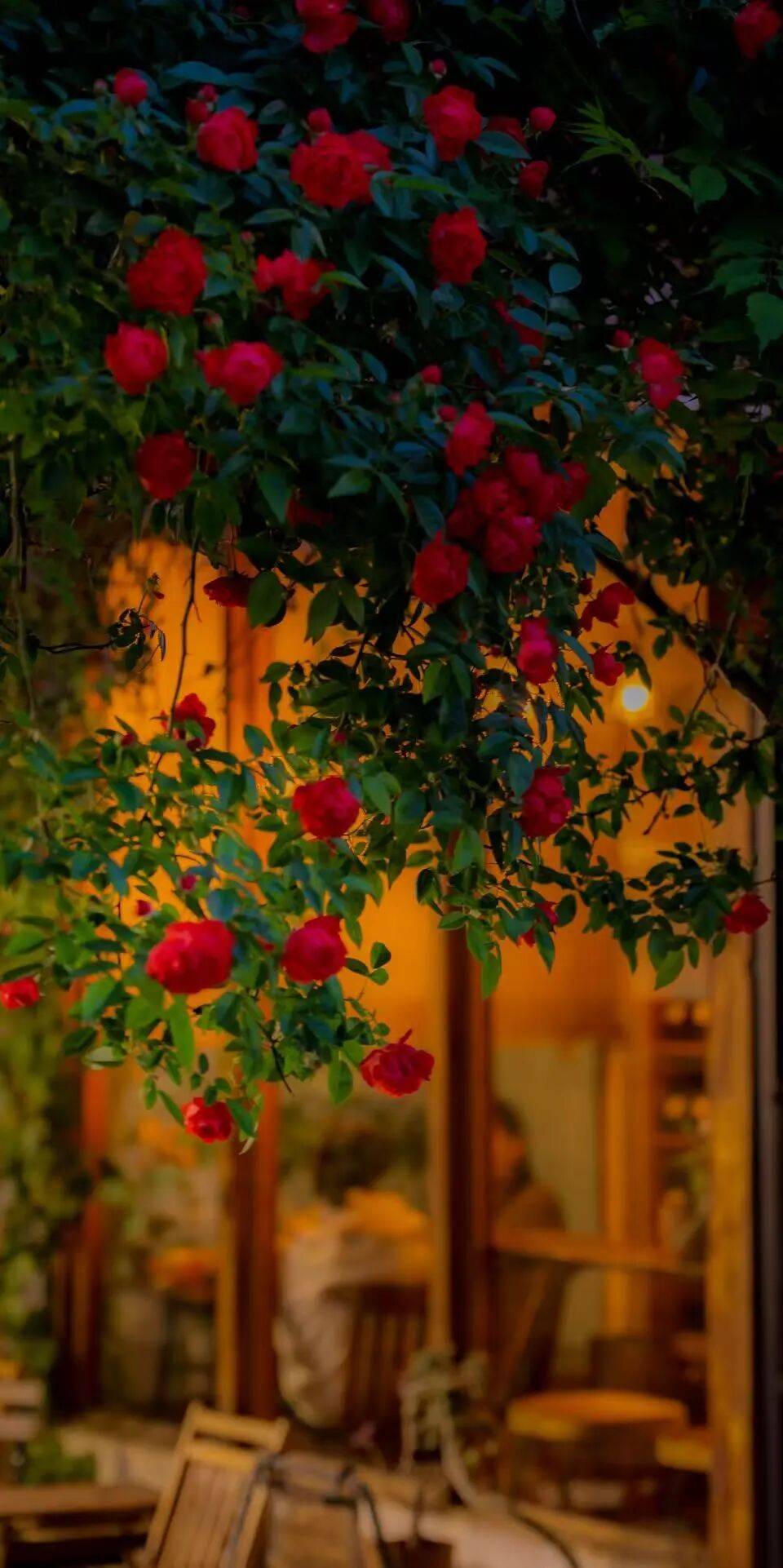 鄭州“春日賞花地圖”，請收藏→