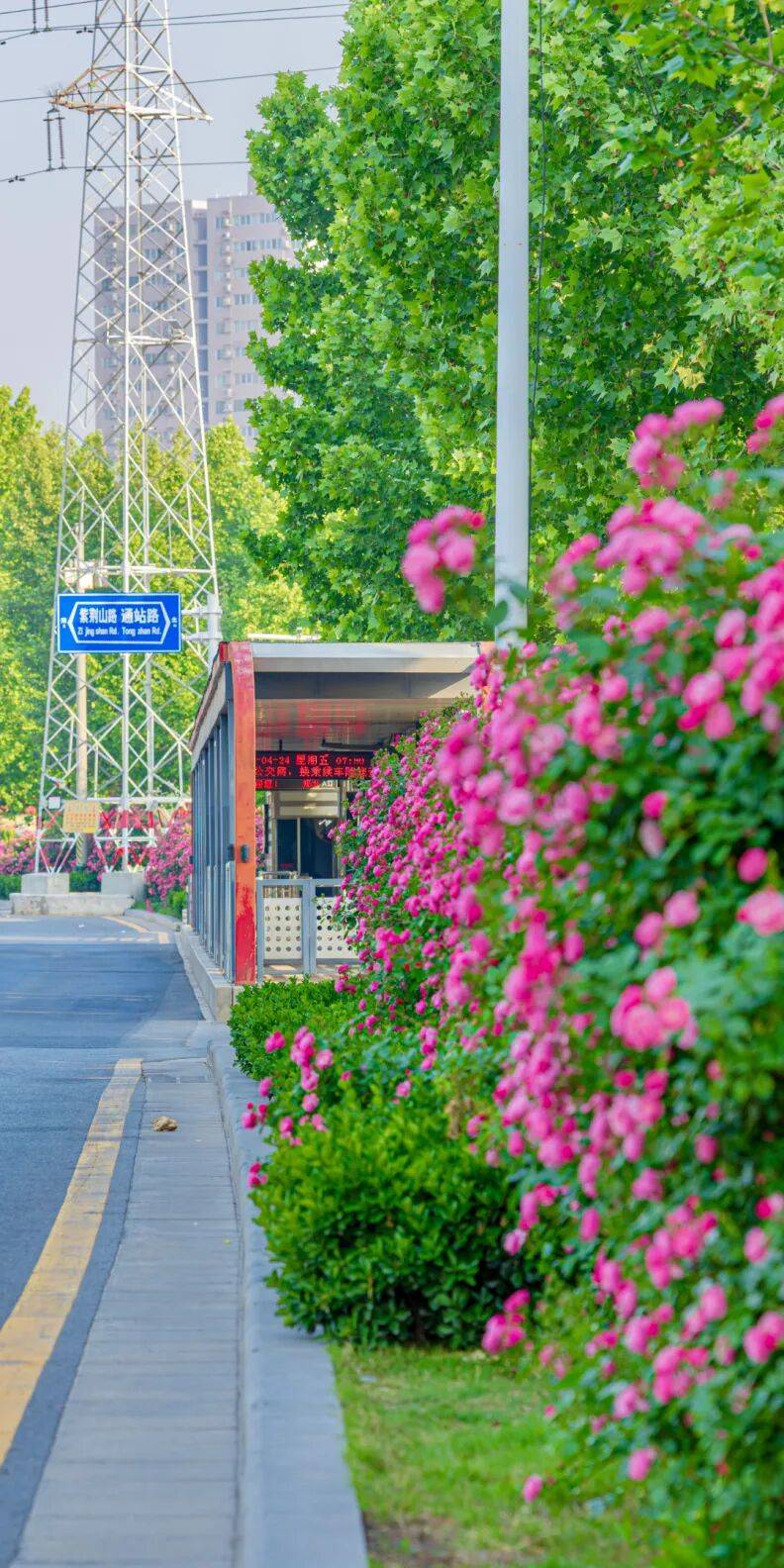 鄭州“春日賞花地圖”，請收藏→