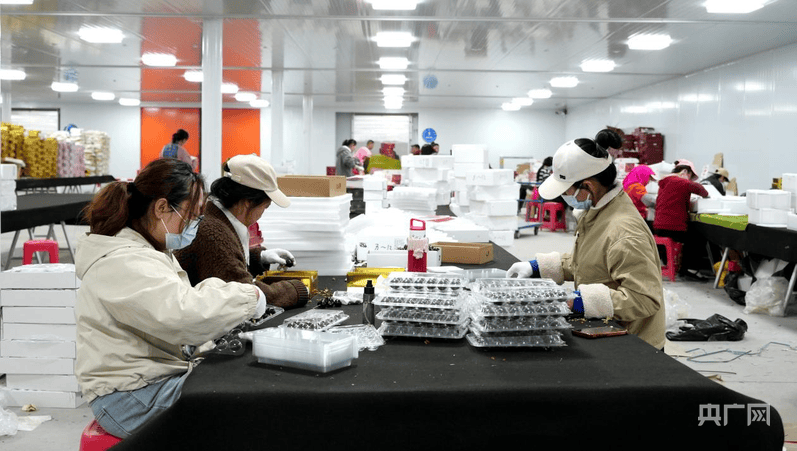 溫宿縣：電商物流協同發力 打通櫻桃出疆快車道