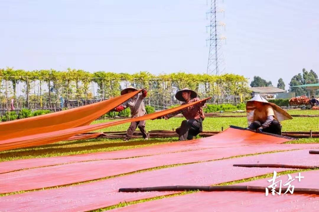赴時團之約，暢遊廣州南沙！“五一”遊玩全攻略趕緊收藏