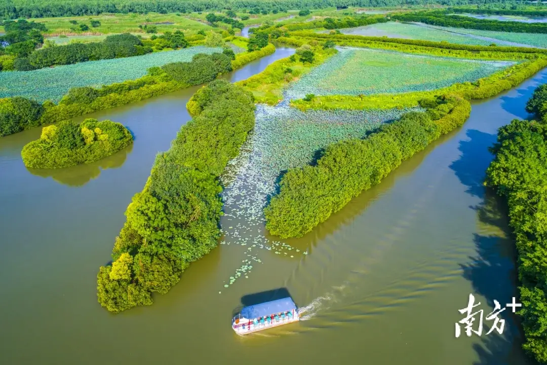 赴時團之約，暢遊廣州南沙！“五一”遊玩全攻略趕緊收藏