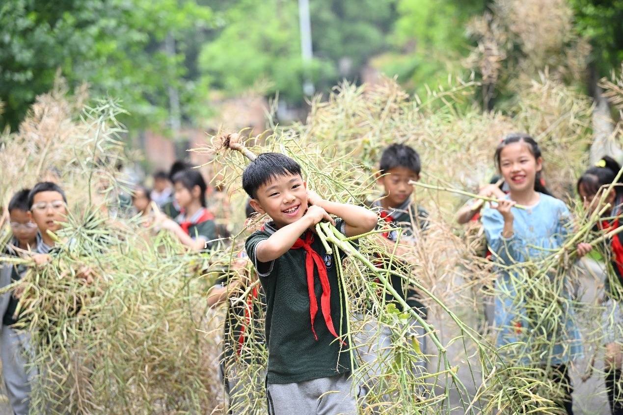 踩落葉聞花香 童心青禾小學師生在自然裡上課