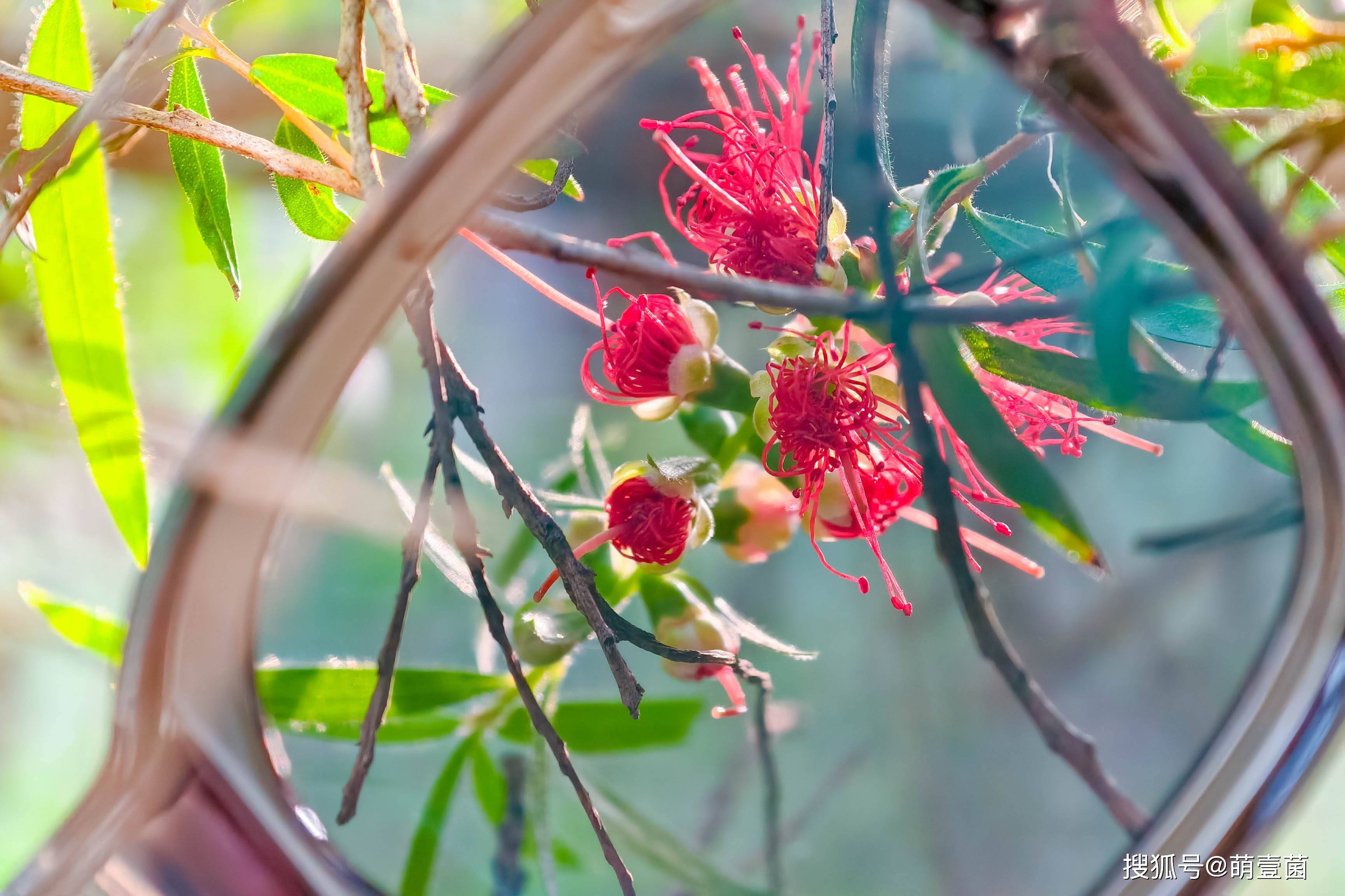 春天出遊，眼鏡黨集合！米家偏光太陽鏡套鏡不用摘眼鏡也能戴墨鏡