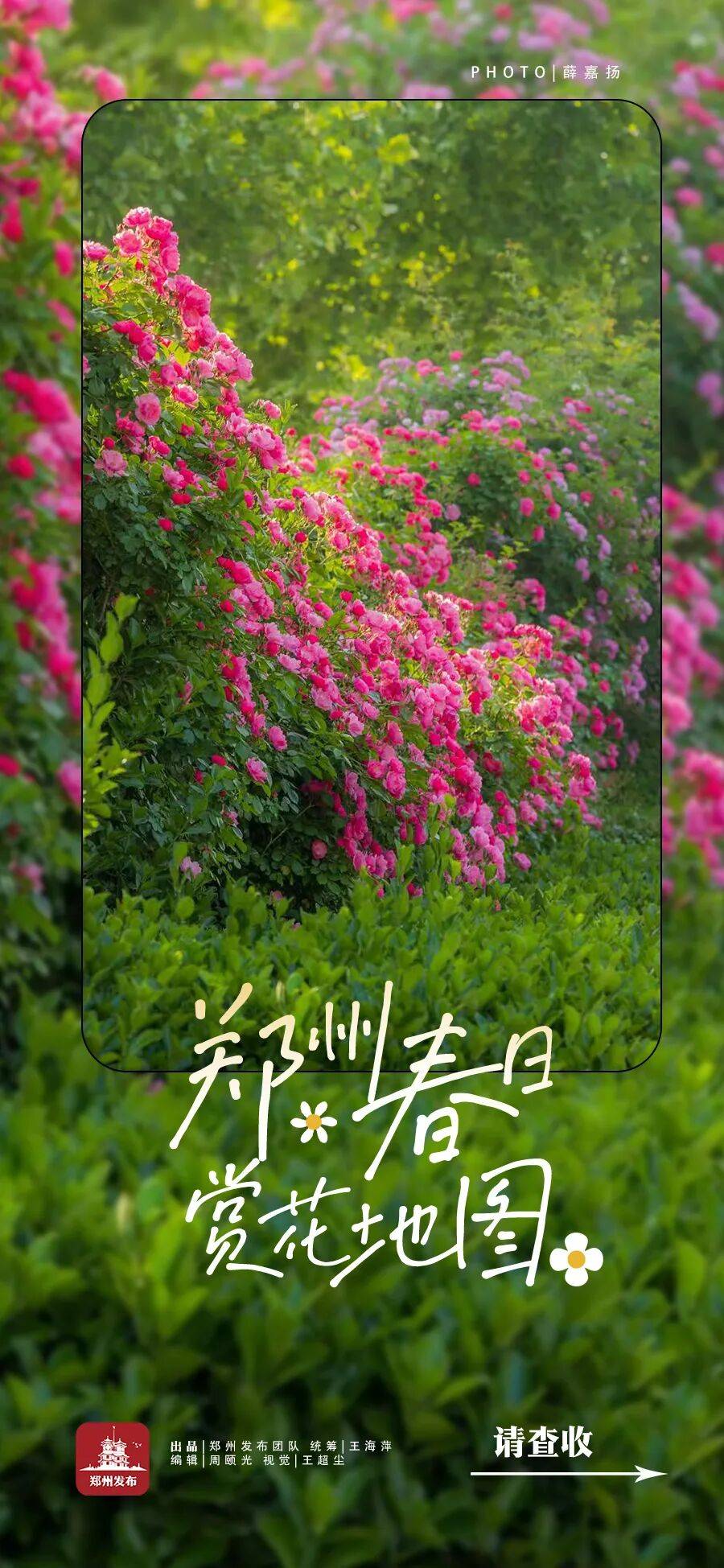 鄭州“春日賞花地圖”，請收藏→
