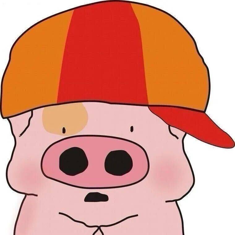 女性的視角也是人類的視角 |《陌生的女孩》共讀回顧