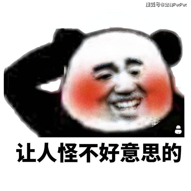 原創狗子在小區人脈有多野？裝修打折、門禁刷臉，主人全靠它帶飛