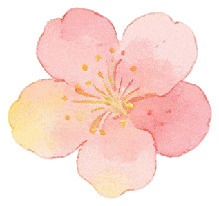 鄭州“春日賞花地圖”，請收藏→