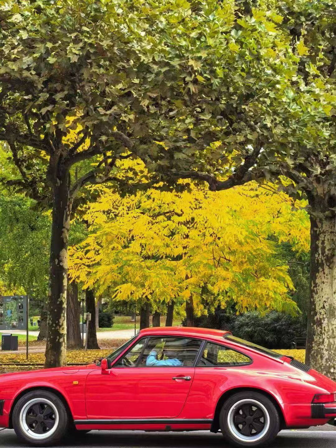 聖基茨移民：護照移民優勢多，如何選擇誠信企業？