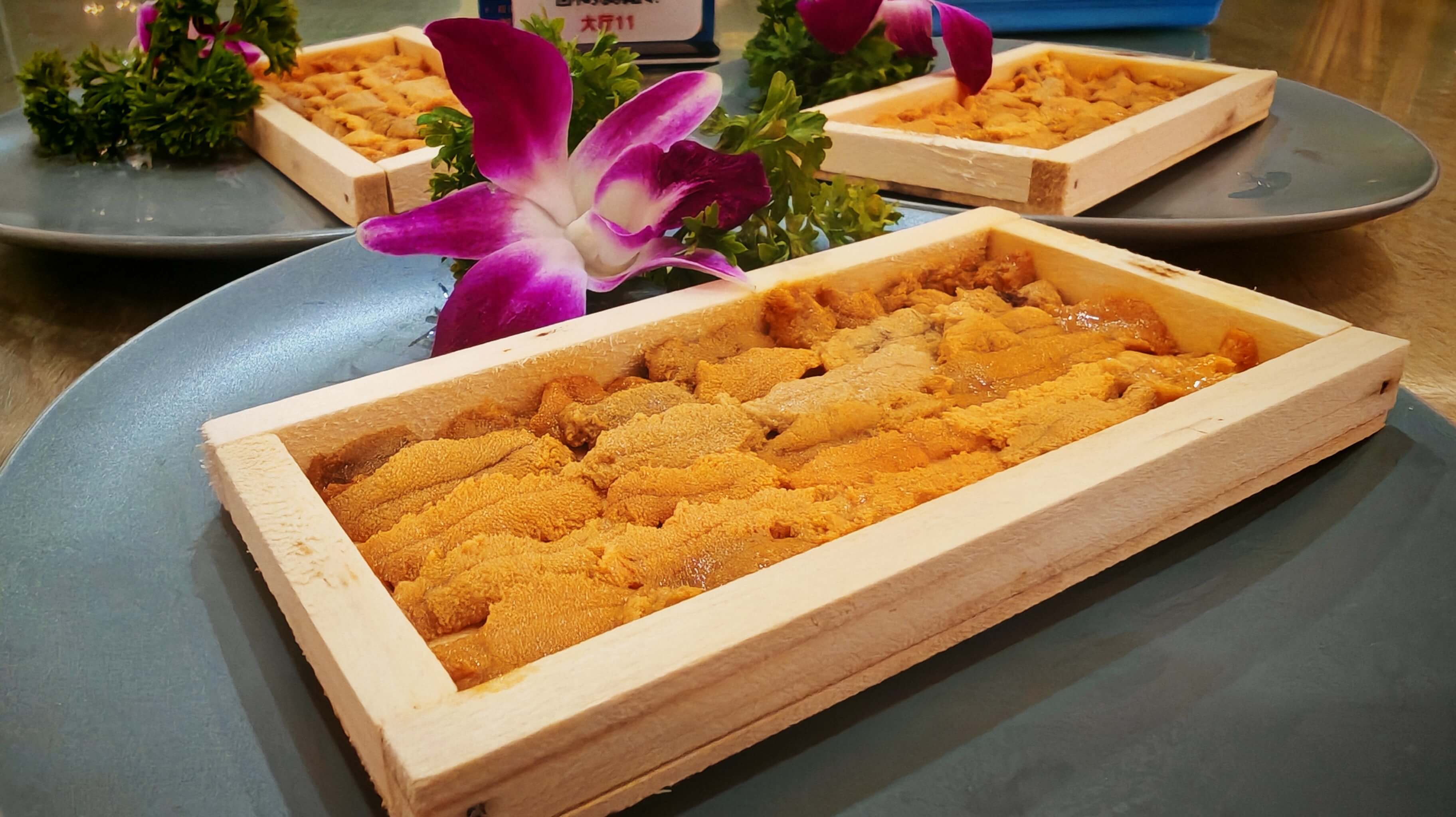 巽寮灣美食研學體驗基地：探索海洋美食文化，開啟趣味美食研學之旅