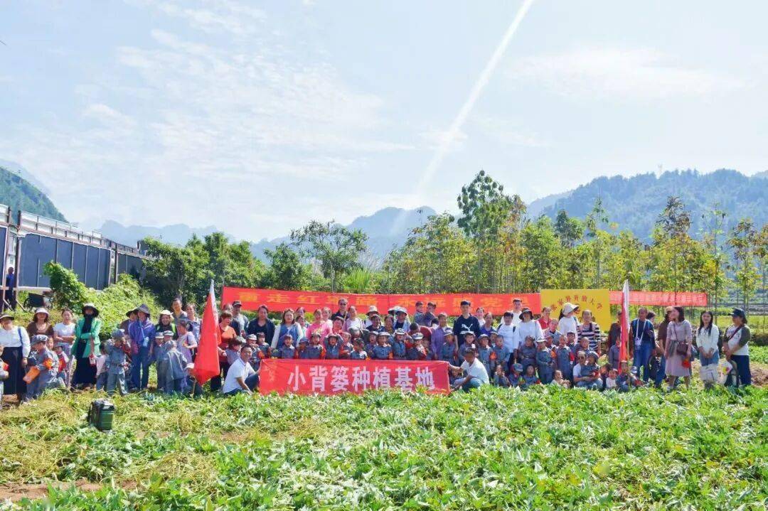 科技賦能興產業“小揹簍”助農共富路