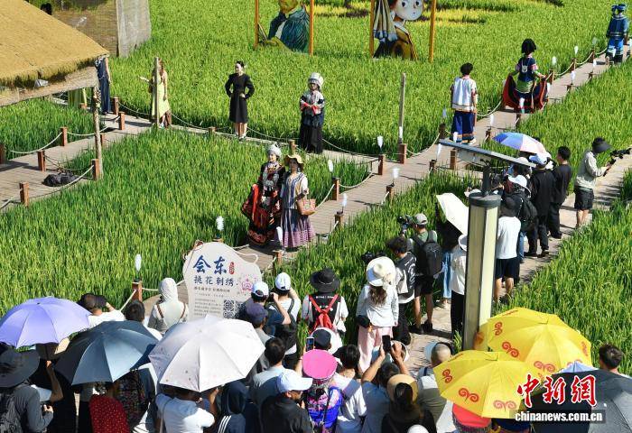 四川會東：挑花刺繡亮相稻田T臺