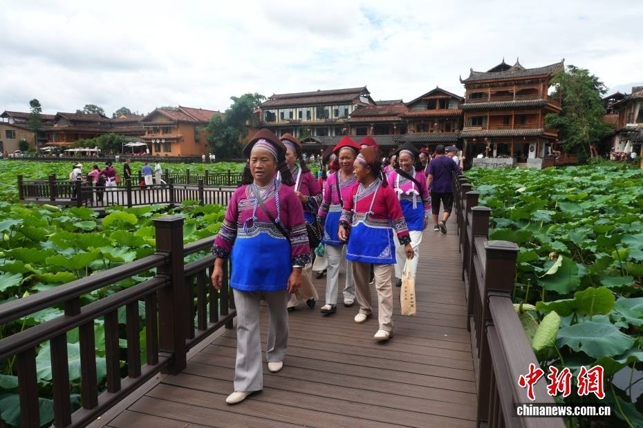 雲南普者黑：喀斯特山水迎來暑期旅遊熱