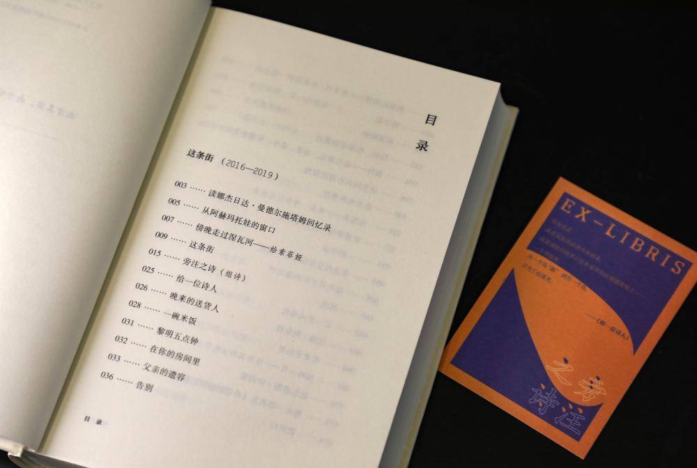 詩人王家新：很早就認定詩歌是一生的事丨閱讀日·詩人專訪