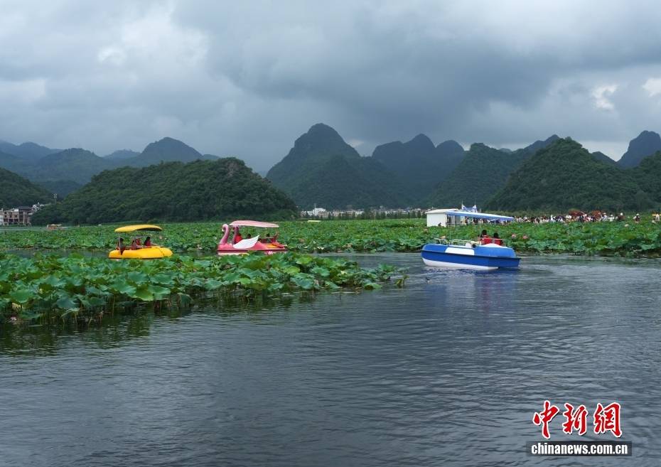 雲南普者黑：喀斯特山水迎來暑期旅遊熱