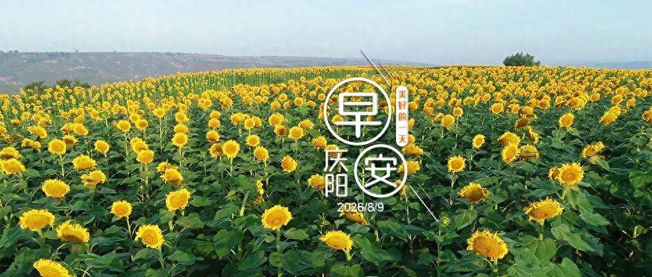 早安慶陽丨重要規劃釋出！事關你的快遞→