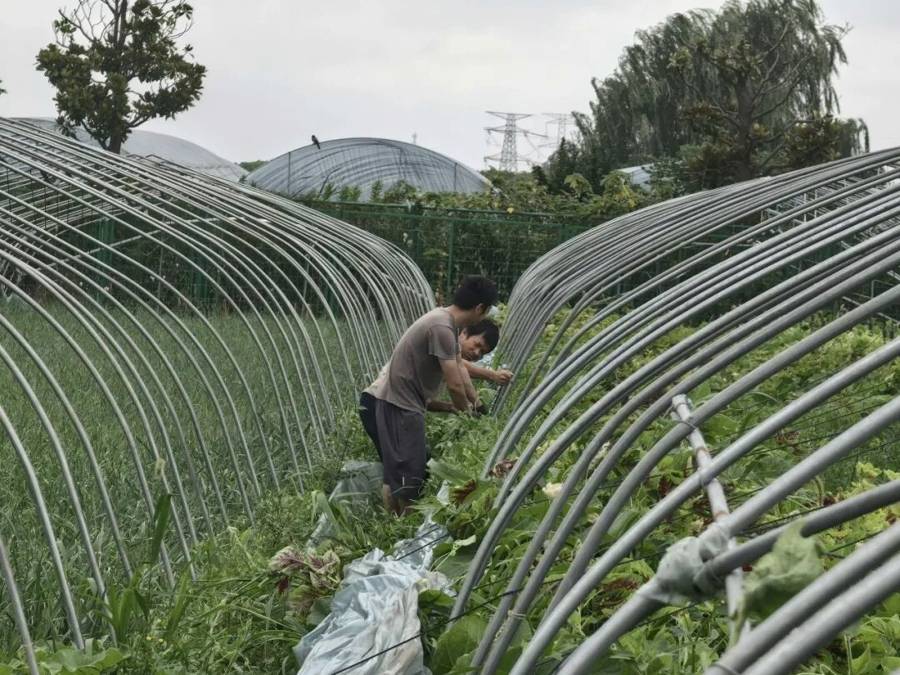 快遞、外賣小哥多了個新身份！颱風“白海豚”下的“移動安全員”上線