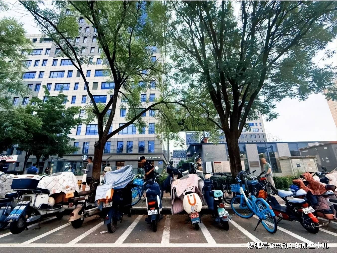 原創電動車怎麼停才不違規？北京山東給出標準答案，普通車主建議收藏