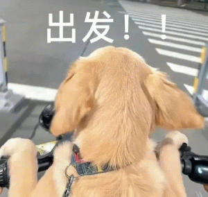 追光之旅！西極旅遊直通車正式首發