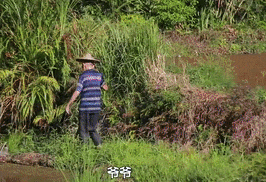 重大發現：雞蛋與它同吃，三高降了，肝乾淨了，眼睛明亮了，免疫力提高10倍!(建議收藏)