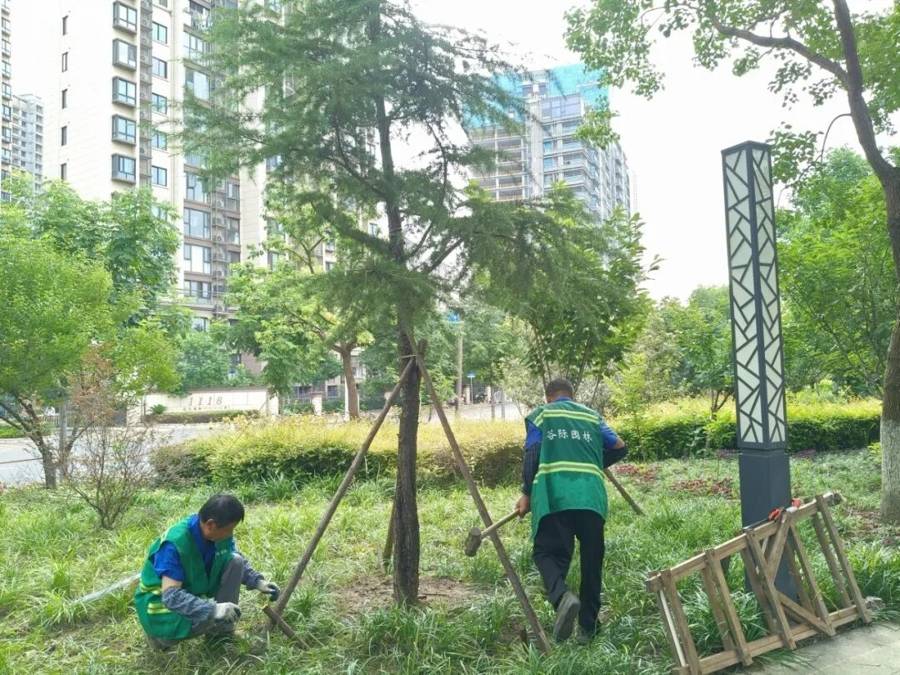 快遞、外賣小哥多了個新身份！颱風“白海豚”下的“移動安全員”上線