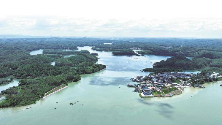 南寧聚力暢通向海物流通道