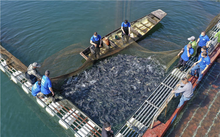 擦亮長沙美食名片！壇宗剁椒魚頭憑硬核實力登頂《家鄉美食大賽》冠軍！